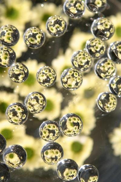 Wasser Perlen für Blumen